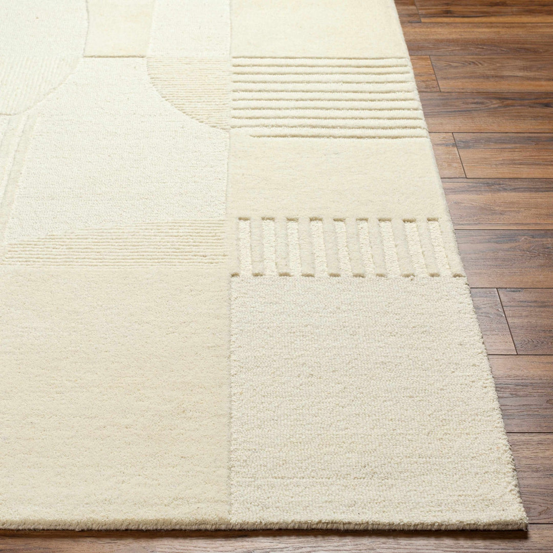 Denis Contemporary Modern Beige Area Rug - The Rug Decor