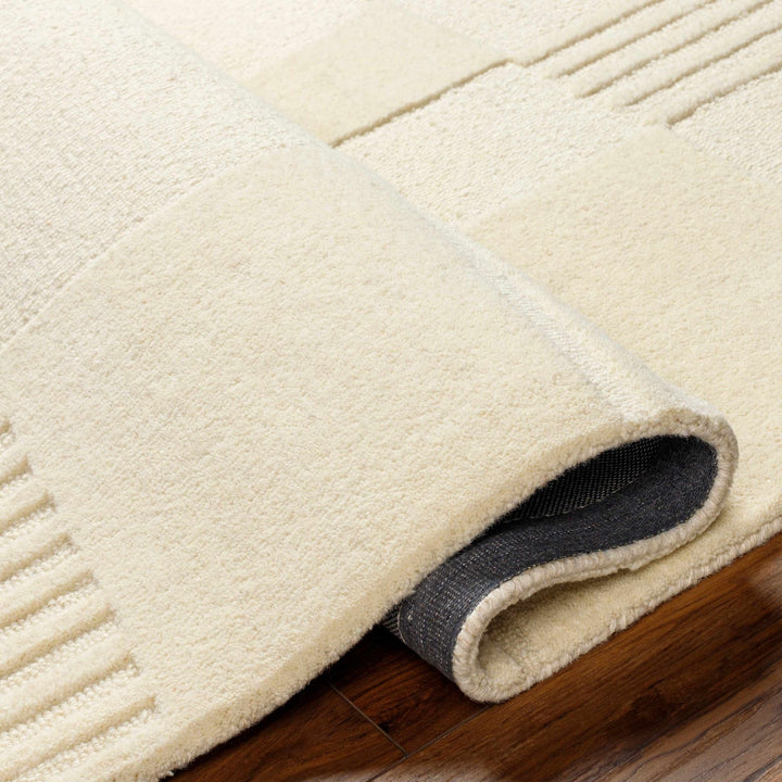 Denis Contemporary Modern Beige Area Rug - The Rug Decor