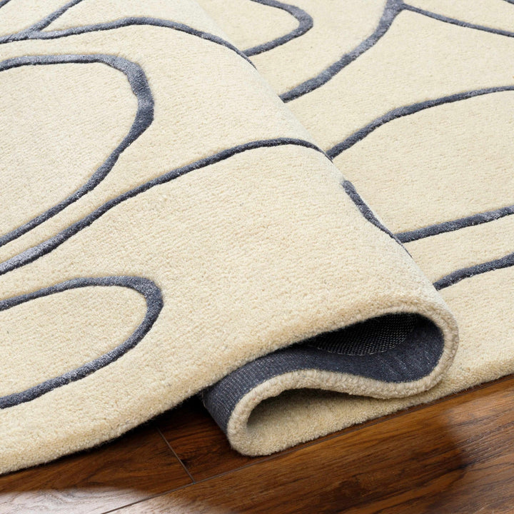 Derek Contemporary Ivory And Gray Area Rug - The Rug Decor