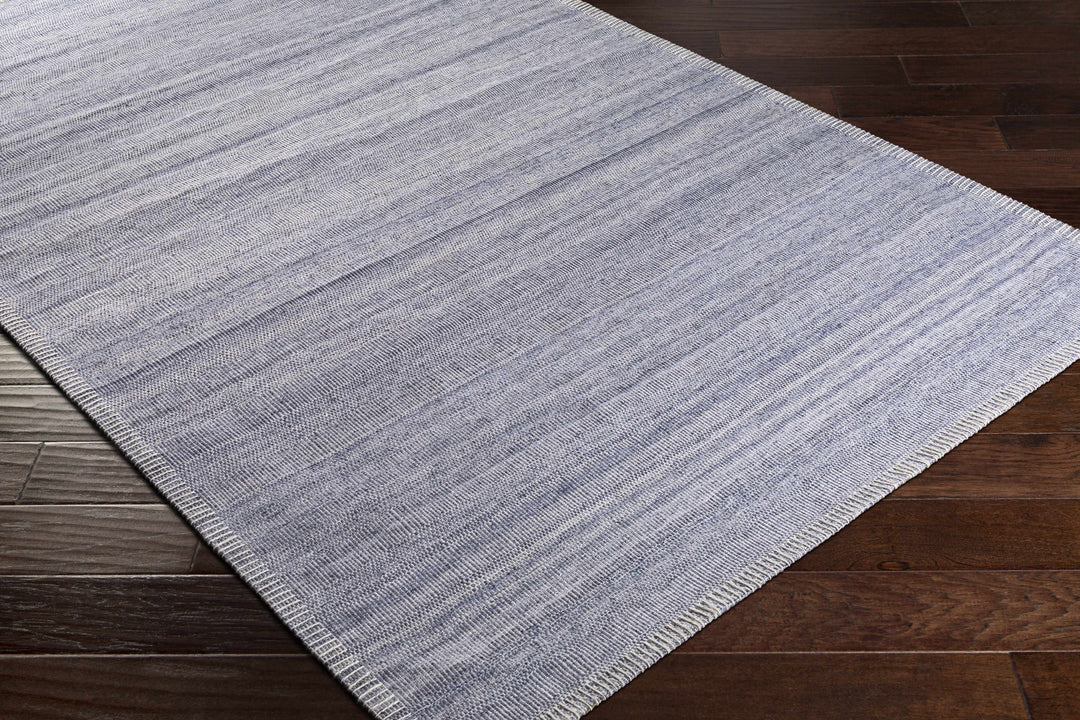 Dernancourt Modern Style Blue Hand Woven Area Rug