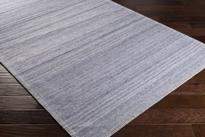 Dernancourt Modern Style Blue Hand Woven Area Rug