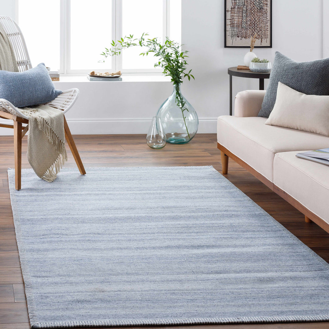 Dernancourt Modern Style Blue Hand Woven Area Rug