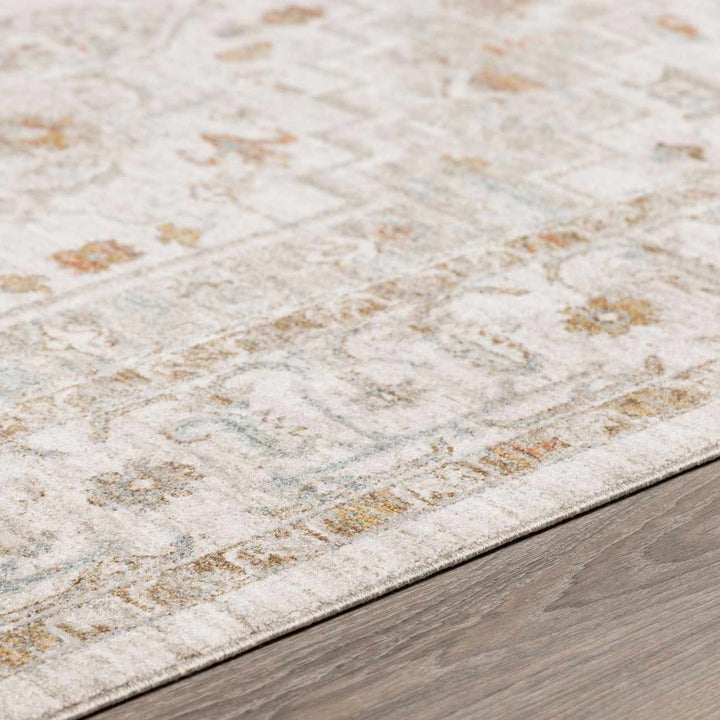 Dieppe Traditional Beige and Sage Machine-Woven Rug - The Rug Decor