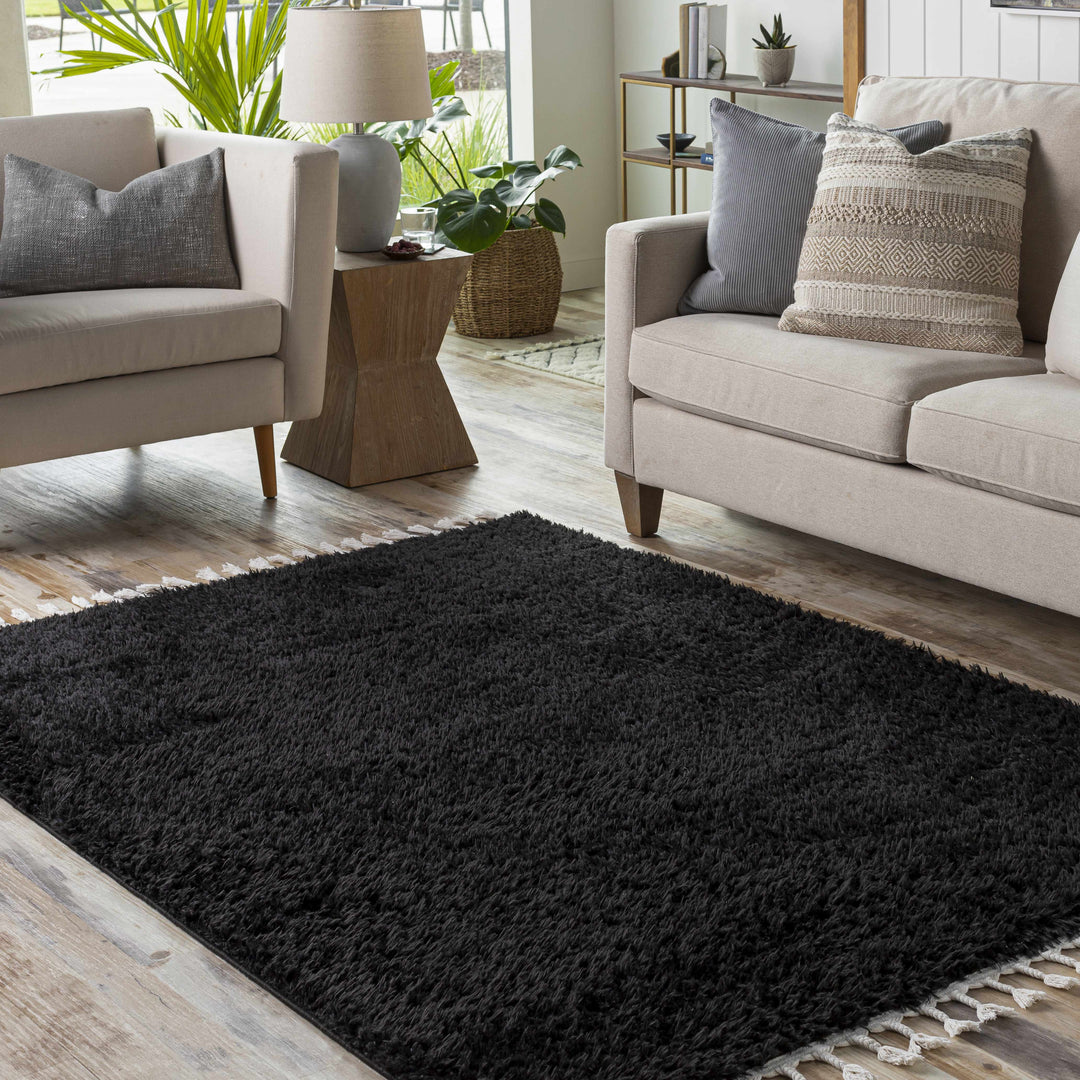 Mampurog Black Modern Solid Design Rug