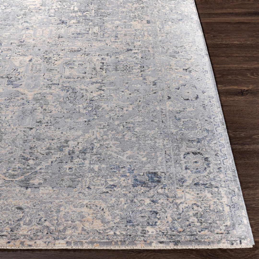 Dingwall Traditional Style Charcoal And Gray Area Rug - The Rug Decor
