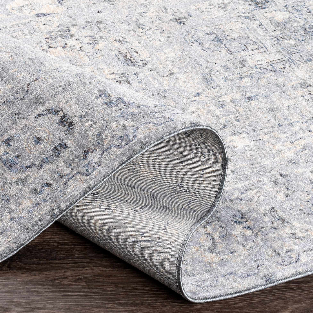 Dingwall Traditional Style Charcoal And Gray Area Rug - The Rug Decor