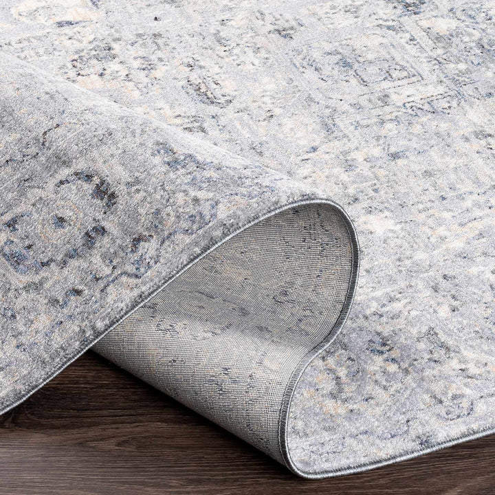 Dingwall Traditional Style Charcoal And Gray Area Rug - The Rug Decor