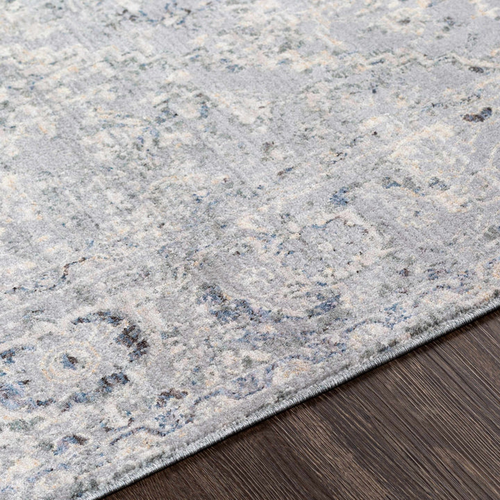 Dingwall Traditional Style Charcoal And Gray Area Rug - The Rug Decor