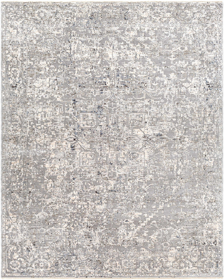 Dingwall Traditional Style Charcoal And Gray Area Rug - The Rug Decor