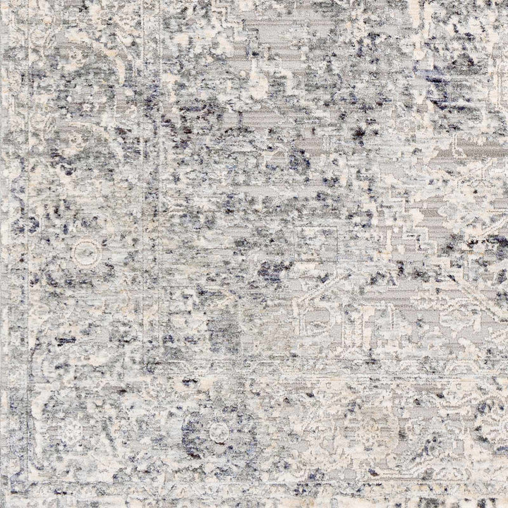 Dingwall Traditional Style Charcoal And Gray Area Rug - The Rug Decor