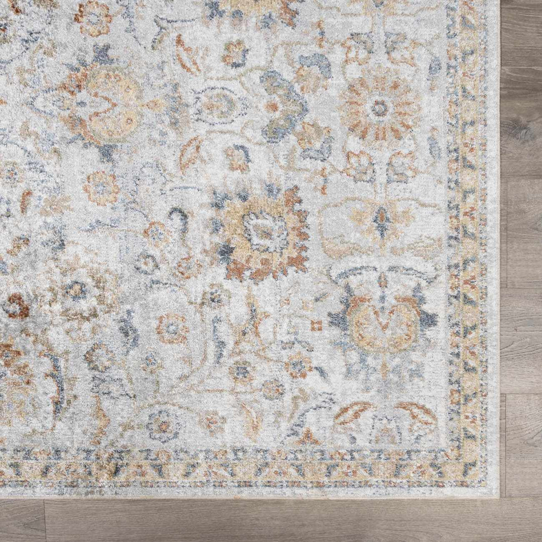Dion Traditional Style Beige And Gray Washable Area Rug - The Rug Decor