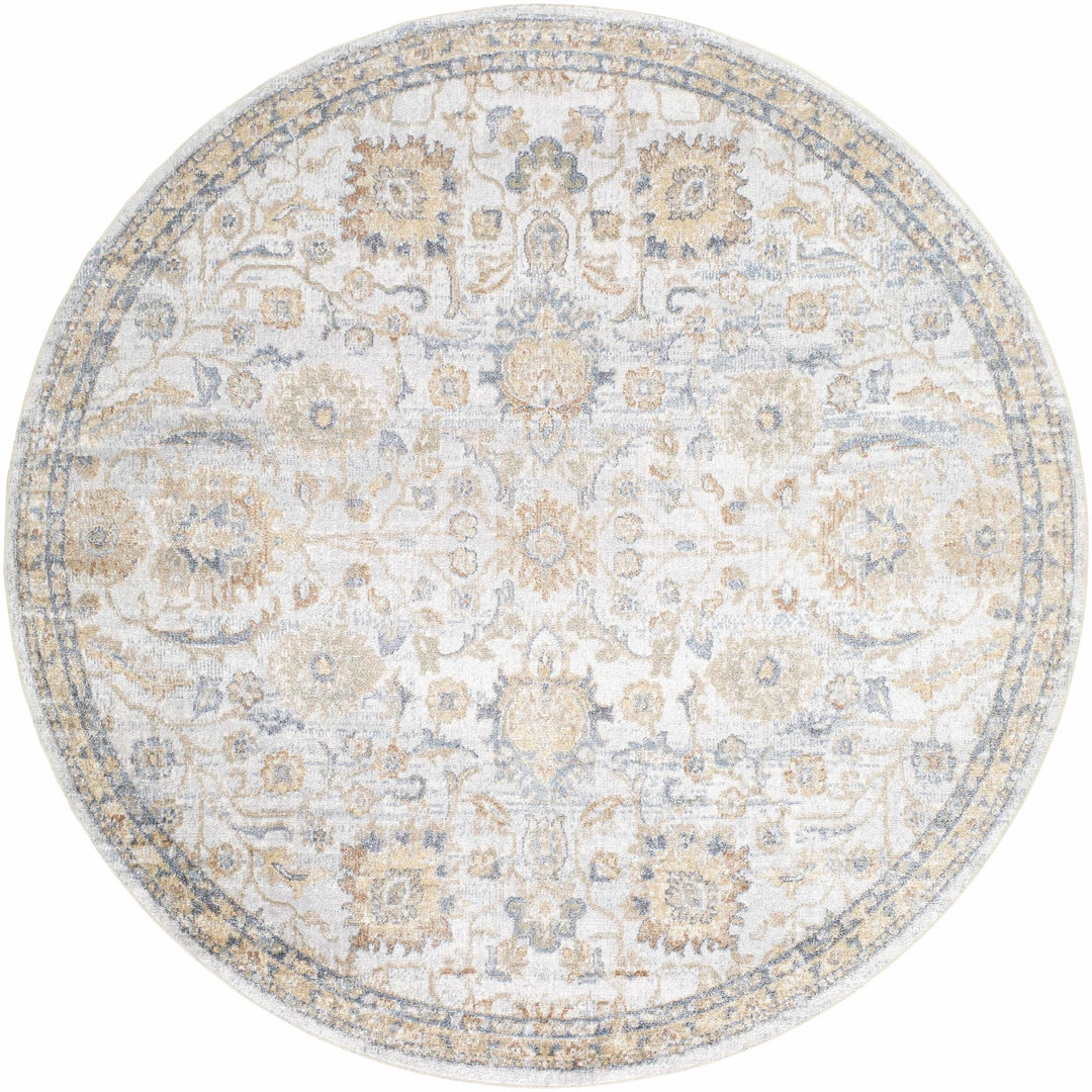 Dion Traditional Style Beige And Gray Washable Area Rug - The Rug Decor
