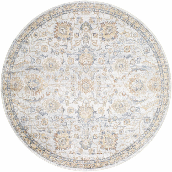 Dion Traditional Style Beige And Gray Washable Area Rug - The Rug Decor