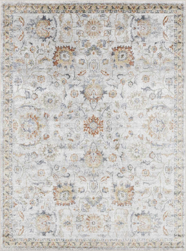 Dion Traditional Style Beige And Gray Washable Area Rug - The Rug Decor