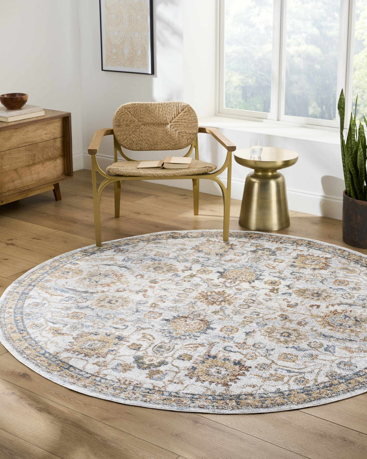 Dion Traditional Style Beige And Gray Washable Area Rug - The Rug Decor