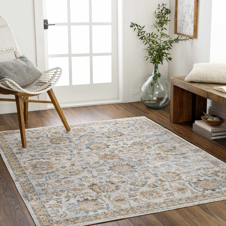 Dion Traditional Style Beige And Gray Washable Area Rug - The Rug Decor