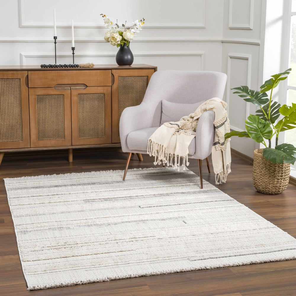 Dishman Contemporary Style Gray Rug - The Rug Decor