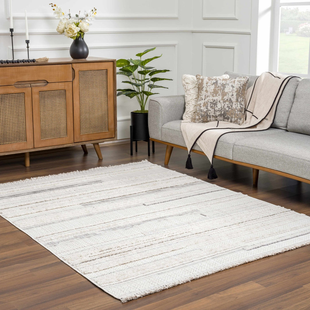 Dishman Contemporary Style Gray Rug - The Rug Decor