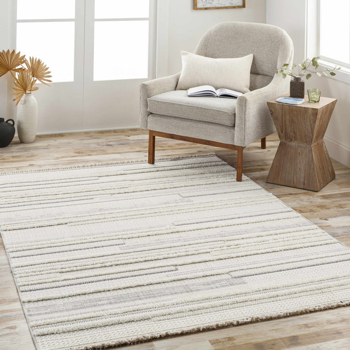 Dishman Contemporary Style Gray Rug - The Rug Decor