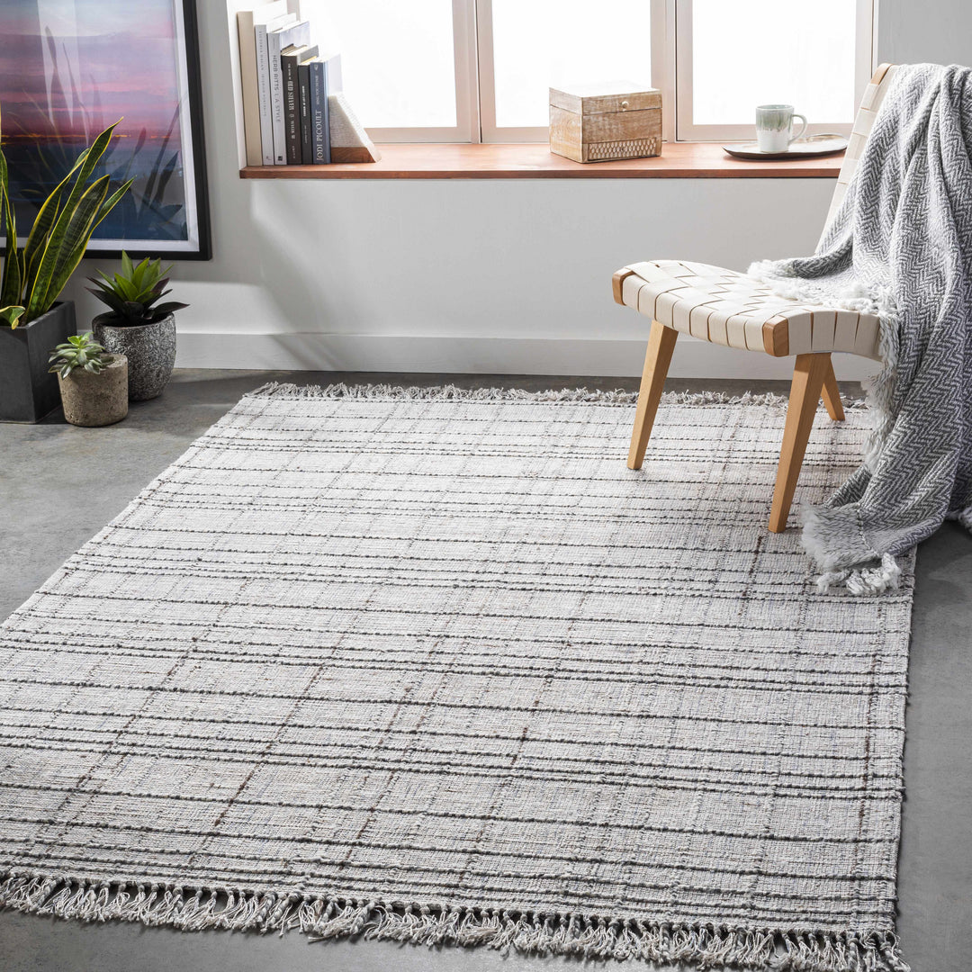 Delanco Modern Style Gray Hand Loom Area Rug