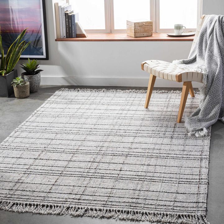 Delanco Modern Style Gray Hand Loom Area Rug