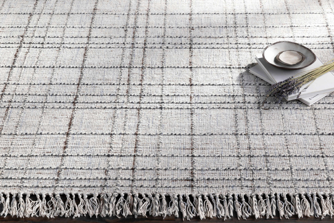 Delanco Modern Style Gray Hand Loom Area Rug