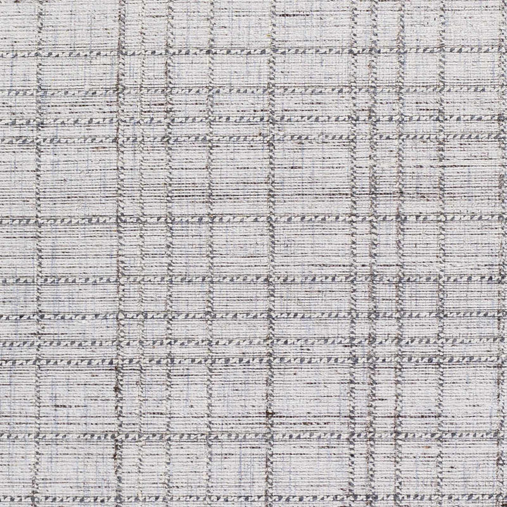 Delanco Modern Style Gray Hand Loom Area Rug