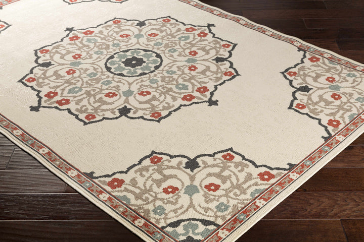 Dolomite Traditional Style Beige and Rust Outdoor Area Rug