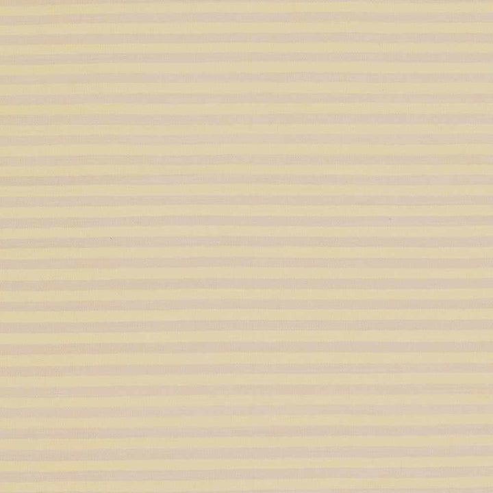 Donaghadee Modern Stripes Pattern Beige Hand Woven Area Rug - The Rug Decor