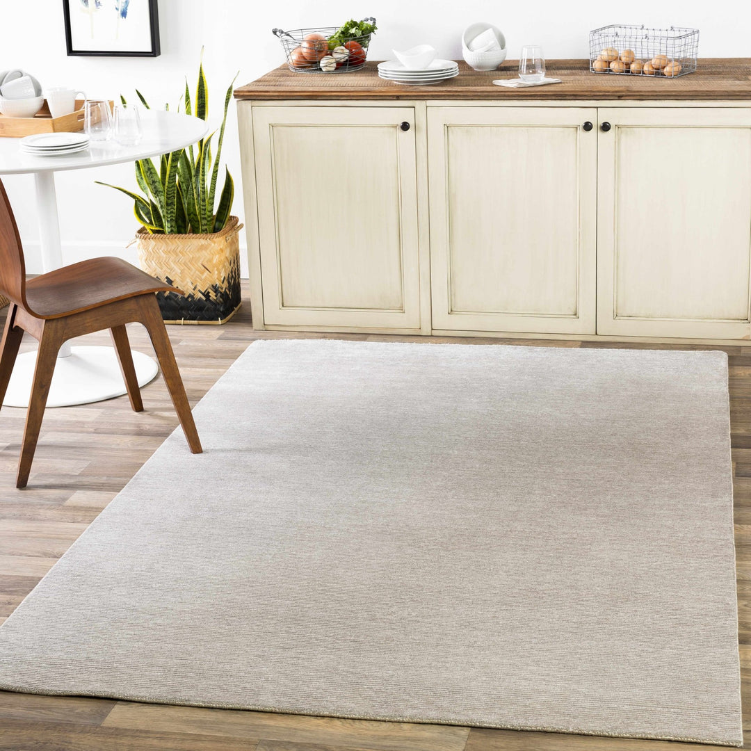 Donegal Taupe Modern Solid Design Hand Knotted Area Rug - The Rug Decor