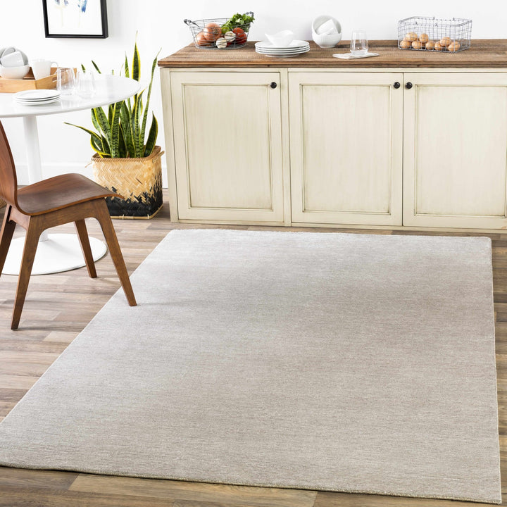 Donegal Taupe Modern Solid Design Hand Knotted Area Rug - The Rug Decor