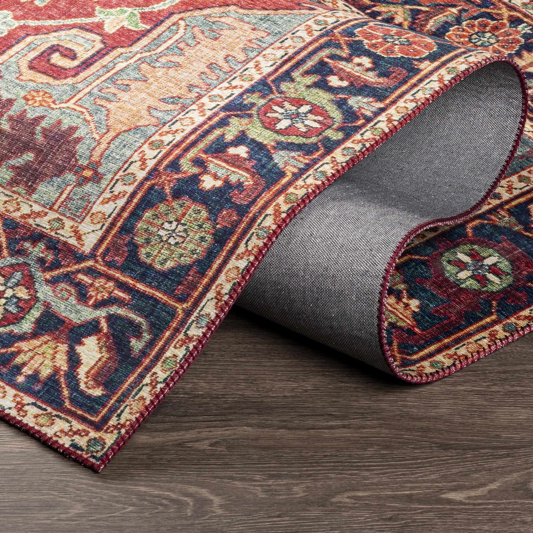 Dorcas Traditional Medallion Design Red And Blue Area Rug