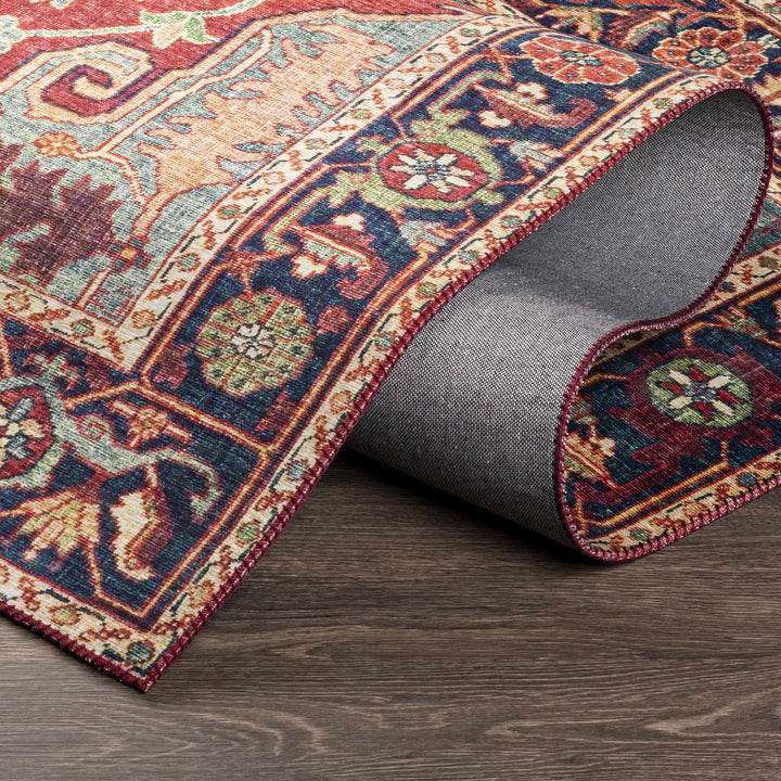 Dorcas Traditional Medallion Design Red And Blue Area Rug