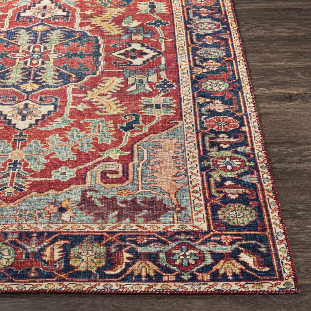 Dorcas Traditional Medallion Design Red And Blue Area Rug