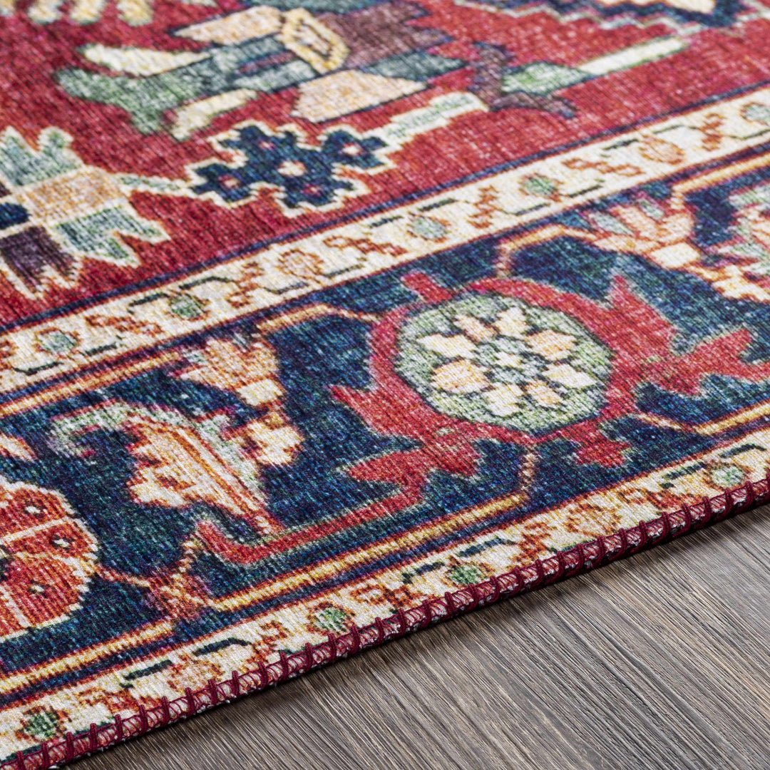 Dorcas Traditional Medallion Design Red And Blue Area Rug