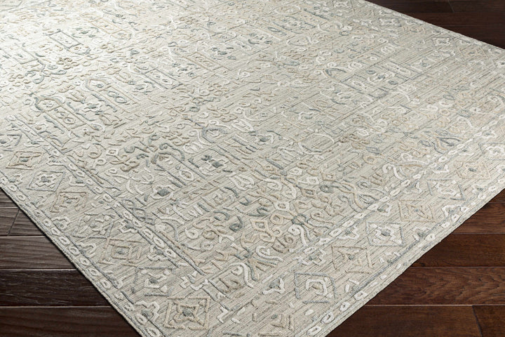 Dubbo Beige Traditional Style Hand Loom Area Rug