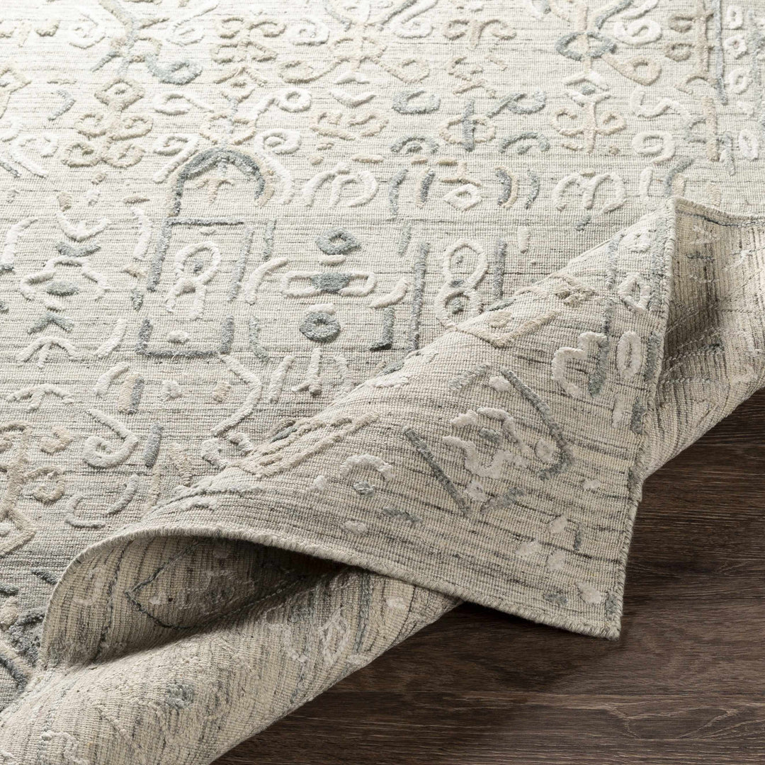 Dubbo Beige Traditional Style Hand Loom Area Rug