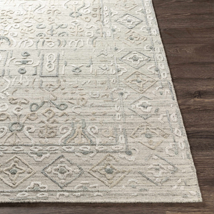 Dubbo Beige Traditional Style Hand Loom Area Rug