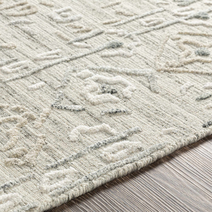 Dubbo Beige Traditional Style Hand Loom Area Rug