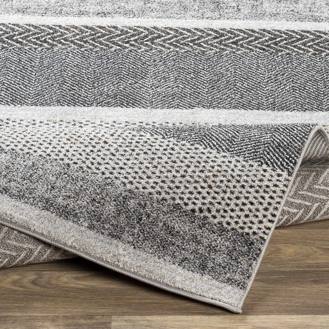 Dugginsville Contemporary Style Gray Area Rug