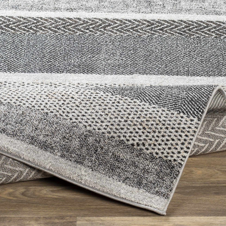 Dugginsville Contemporary Style Gray Area Rug