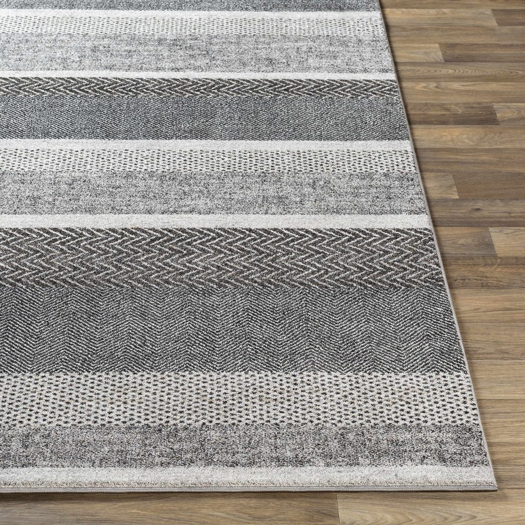 Dugginsville Contemporary Style Gray Area Rug