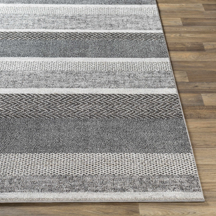Dugginsville Contemporary Style Gray Area Rug