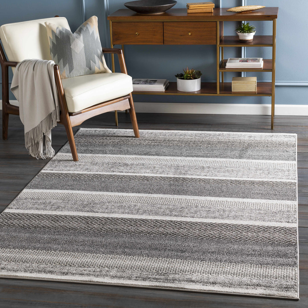 Dugginsville Contemporary Style Gray Area Rug
