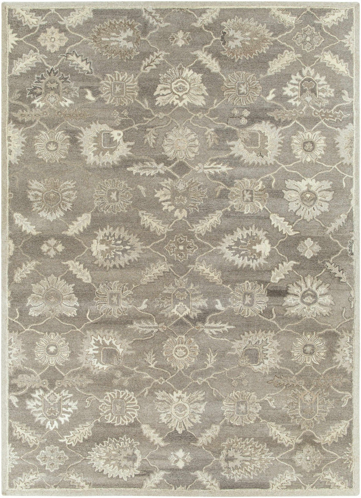 Dulles Traditional Style Taupe And Beige Hand Tufted Wool Rug - The Rug Decor