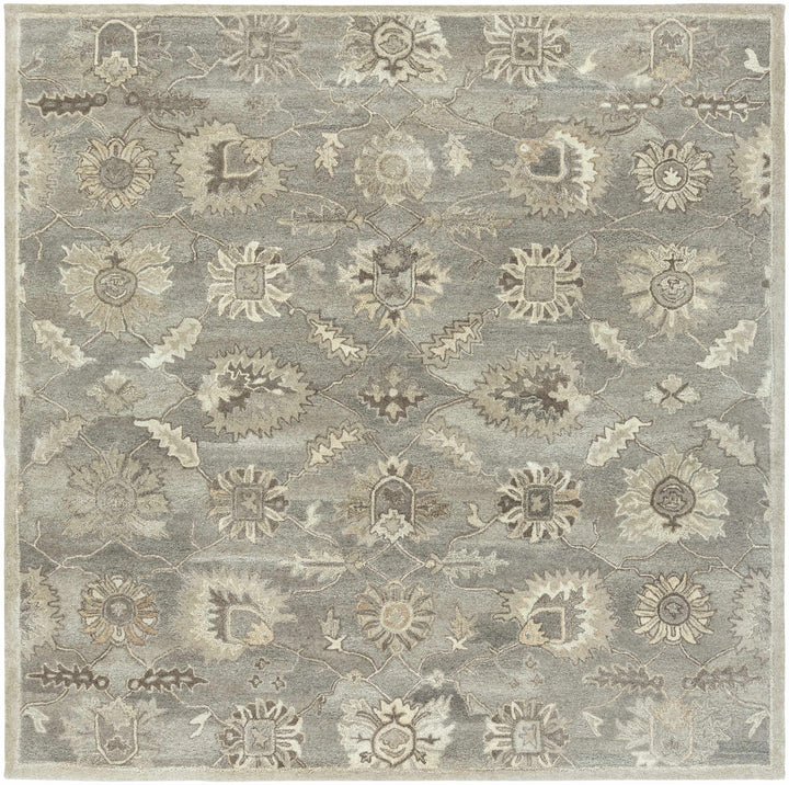 Dulles Traditional Style Taupe And Beige Hand Tufted Wool Rug - The Rug Decor