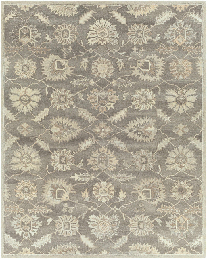 Dulles Traditional Style Taupe And Beige Hand Tufted Wool Rug - The Rug Decor