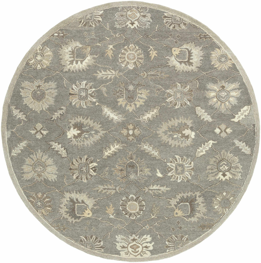 Dulles Traditional Style Taupe And Beige Hand Tufted Wool Rug - The Rug Decor