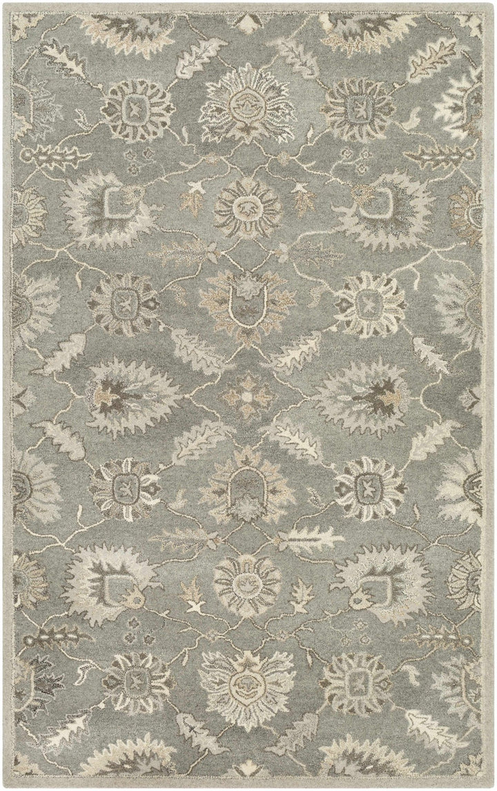 Dulles Traditional Style Taupe And Beige Hand Tufted Wool Rug - The Rug Decor