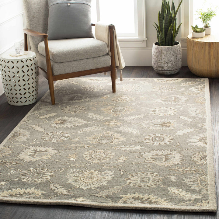Dulles Traditional Style Taupe And Beige Hand Tufted Wool Rug - The Rug Decor